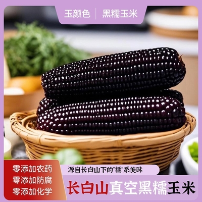 玉颜色黑糯玉米东北寒地种植