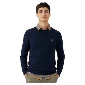 
[Cashmere] Borton men's autumn and winter new round neck pullover high-end cotton sweater base wool knitted sweater
