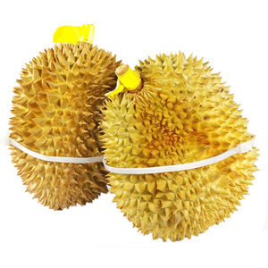 Bundled durian tie, extended nylon tie, plastic tie instead of rubber band tie, 5 * 650