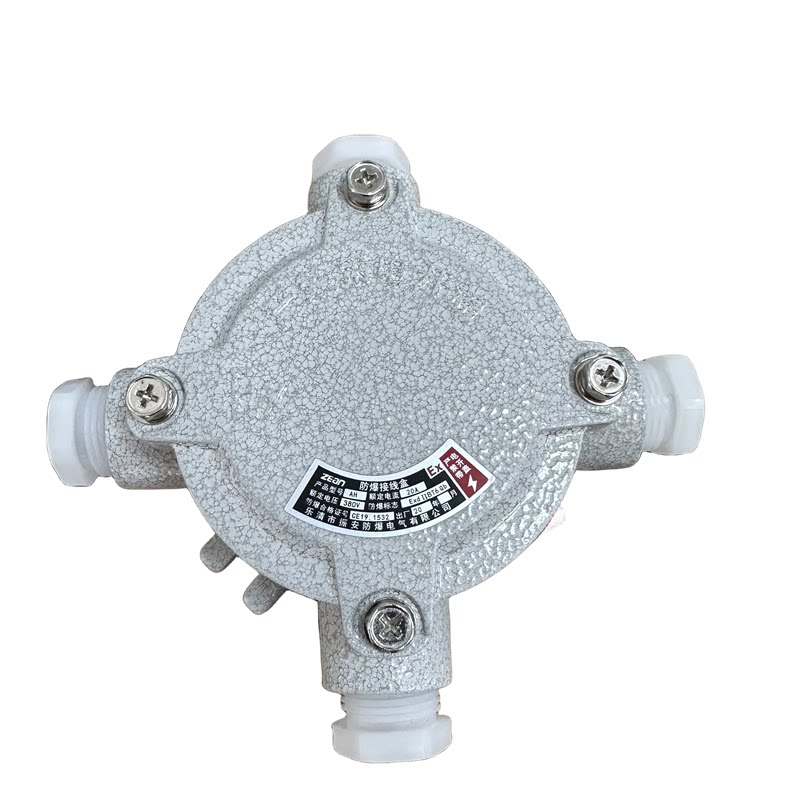 Anqixing Explosion-Proof Junction Box - Aluminum Alloy Flat Cover (4/6 ...