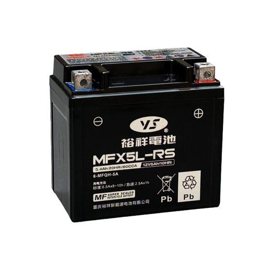 Yuxiang Battery Motorcycle Battery 12VMTX5L-BS Free Maintenance Qiange I Tian Jian Fei 150 Fuxi AS125