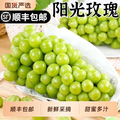 2025年9月7日更新【万能白菜价】的图片 第8张