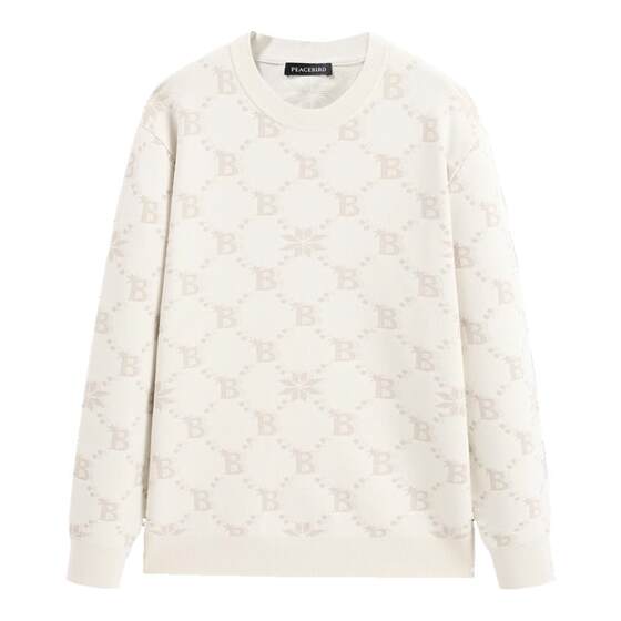 Peacebird men's sweater winter full version letters presbyterian sweater trendy round neck loose pullover casual sweater