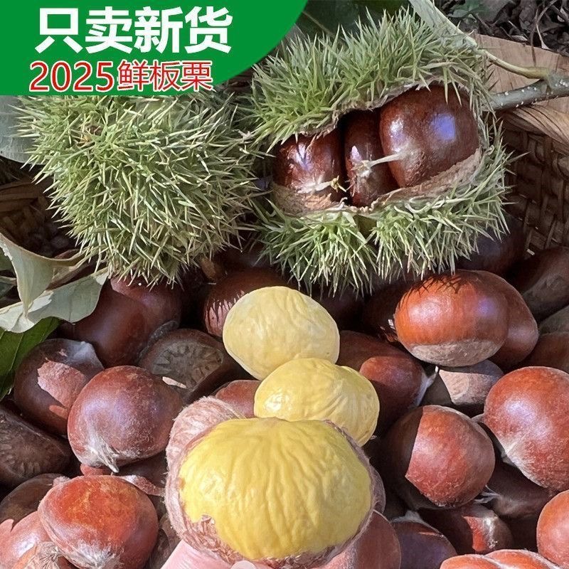 丹东板栗老树栗子红壳毛栗子2025年新货果蔬去壳鲜生带壳