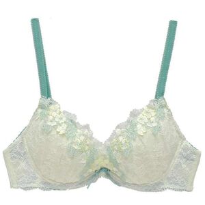 Peach House TUTU Cute Girl thin underwear Gathering to adjust the big size of the Japanese bras in the blessing bag