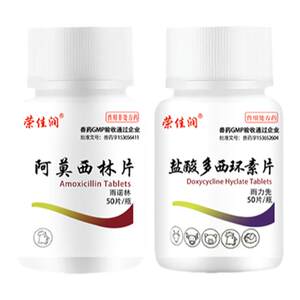 Amoxicillin cat nasal citron hydrochloric acid tablets dog, cat, dog, cough, cold cat mouth inflammation
