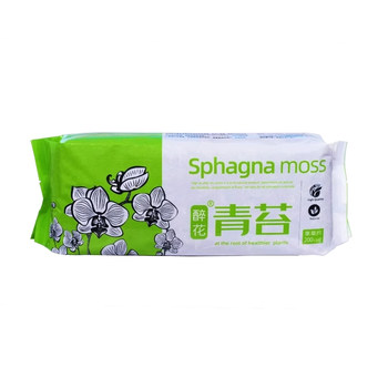 Manual selection of dry squamous moss without impurities
