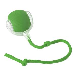 Dog toys automatic dog walking ball with bite and self-healthy dog ​​artifact Bichon small dog pet puppy thrust ball
