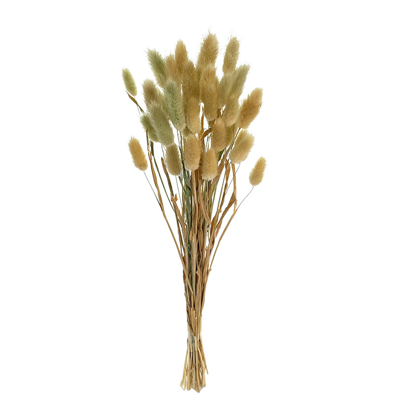 Dried Rabbit Tail Grass Bouquet - Natural Floral Arrangement