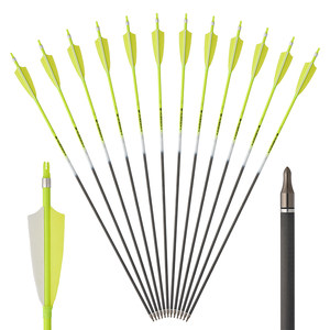 
Recurved bow and arrow True feather pure carbon arrows professional competitive shooting carbon fiber arrow shaft composite traditional bow archery