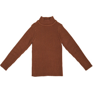 
Boys and girls sweaters in autumn and winter thickened children's base shirt medium-sized children's plus velvet sweater little girl's inner style