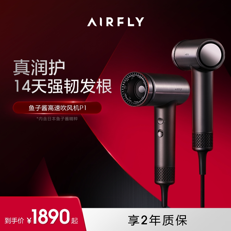 AIRFLY P1 电吹风