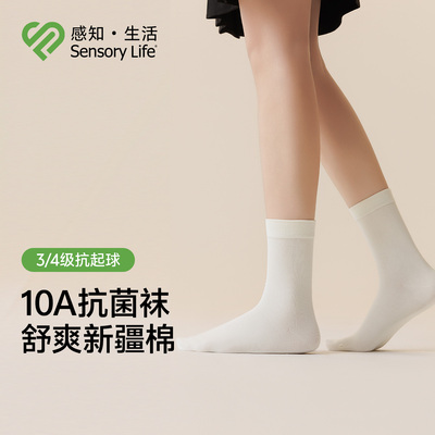 2026年1月30日更新【万能白菜价】的图片 第8张