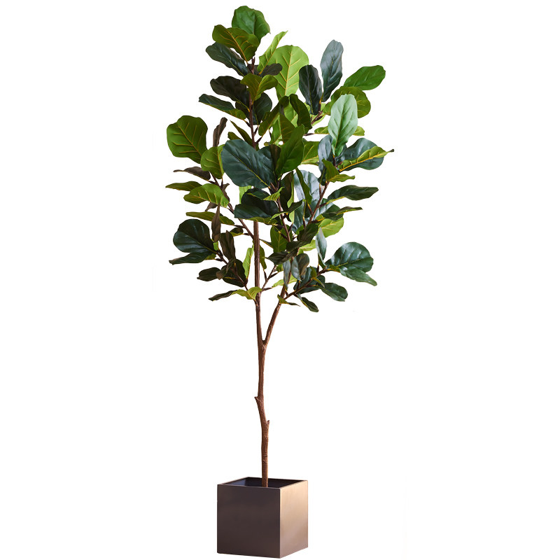 Pianta Artificiale Ficus Tabacco 180 Cm – Italia - Foto 5