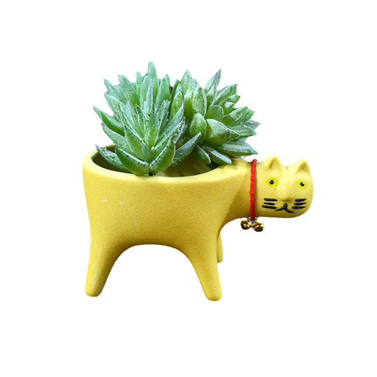 YUANstore Contenitore semplice Nordic Wall Mounted Flowerpot Pianta Succulente idroponica vaso di fiori in ceramica Vaso di ferro appeso pianta in