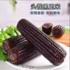 金箔装头茬黑糯玉米240-280g*8根