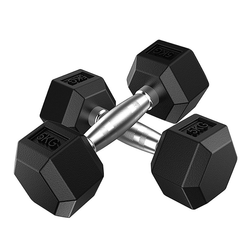 Pure Iron Hexagonal Dumbbell | Professional Gym Equipment | Solid Cast ...