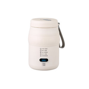 Mini health pot home multi -functional tea worker office small boiling water cup electric cup, electric cup travel outdoor portable
