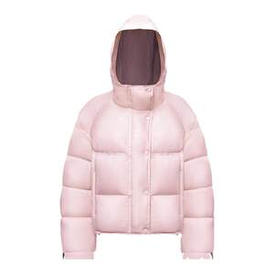Meili City Warm Swan Down Jacket Short Thick Warmth Lightweight Goose Down Puff Bread Jacket Versatile Jacket for Women