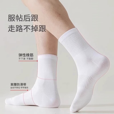 2026年1月23日更新【万能白菜价】的图片 第64张