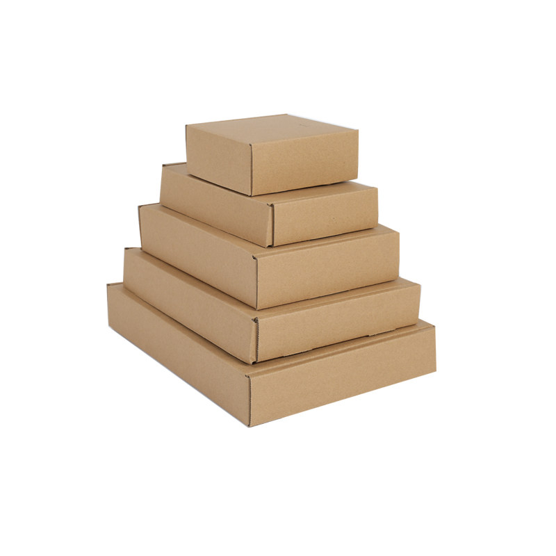 Scatola Americana The Pack Cartone Ondulato Nano Micro 2880ml 19 6x14x9cm X 50