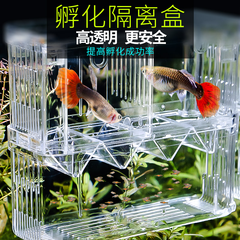 孔雀鱼繁殖盒鱼缸鱼苗孵化器隔离盒小鱼孵化盒大号亚克力鱼卵产房