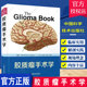 胶质瘤手术学 张洪钿 汪永新 陈保东 临床胶质肿瘤治疗神经外科学手术解剖实践书籍大脑表面解剖额叶颞叶岛叶顶叶枕叶病例