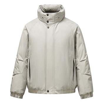 Strolling Series Men's Short Stand Collar Down Jacket