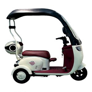 
Electric tricycle with canopy, closed shed, elderly people's transportation to pick up and drop off children, women's national standard battery car with license plate