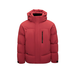 
HLA/Hailan House Zeng Shunxi's same style down jacket 25 autumn and winter new Aurora 95 down 800 puffer jacket for men