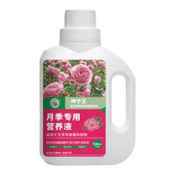 Kunning King rose nutrient solution has large and colorful flowers