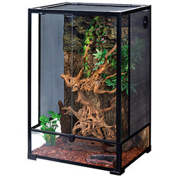 reptizoo arboreal terrarium reptile pet lizard