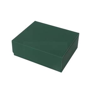 Three-row card box Yu-Gi-Gi-Gi-PTCG Celebrity Card Pokémon Collection Box Anime Board Game Magnetic Card Storage Box