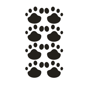 
Cat paw prints Dog paw prints Puppy footprints Hood stickers Side door stickers Car stickers Scratches Body stickers