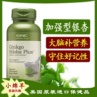 Speat US GNC Ginkgo Leaf Enhanced Composite Formula Capsules 100 содержит активную память лецитин