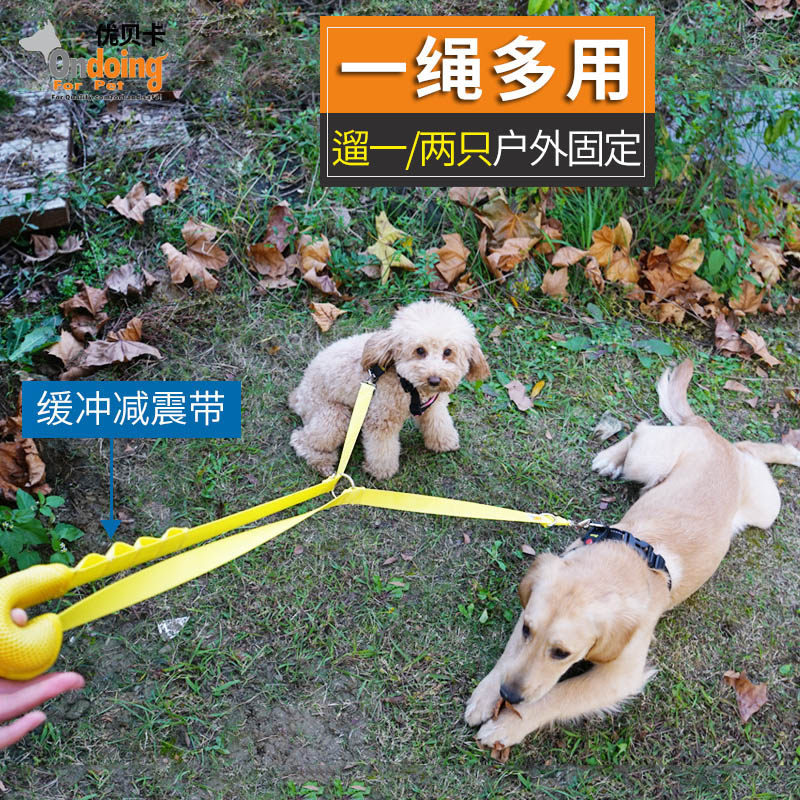 只选对不选贵！开扒各种狗狗牵引绳的好与坏~
