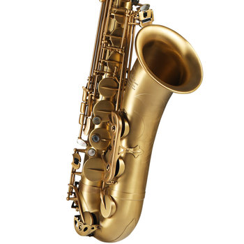 Rollins x5 alto matte antique saxophone