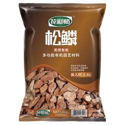Hongyue Colorist Pine Scale M1.6L Natural Pine Bark