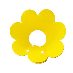 Elizabeth Circle Cat's Nutrition Circle Elisha White Circle Anti -Licking Neck Circle Head Handle Dog Circle Pet Products