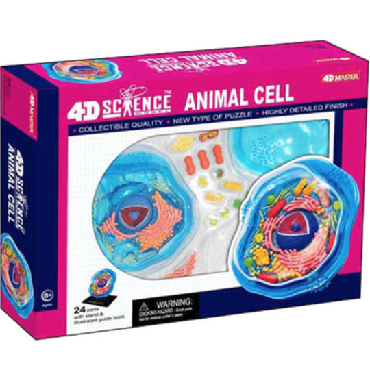 Modello Anatomico Cellula Vegetale 4D XCGDNVRDP - 26 Parti Rimovibili, PVC, 27x12,5x17 Cm, Per Insegnamento Biologia