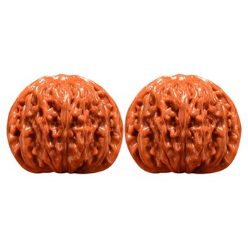 Four -seater lion head Portable antique player brushing slurry
