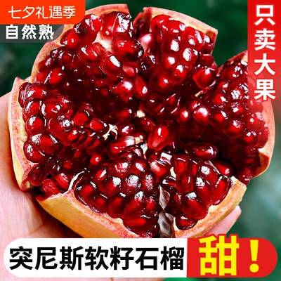 2026年8月19日更新【万能白菜价】的图片 第4张
