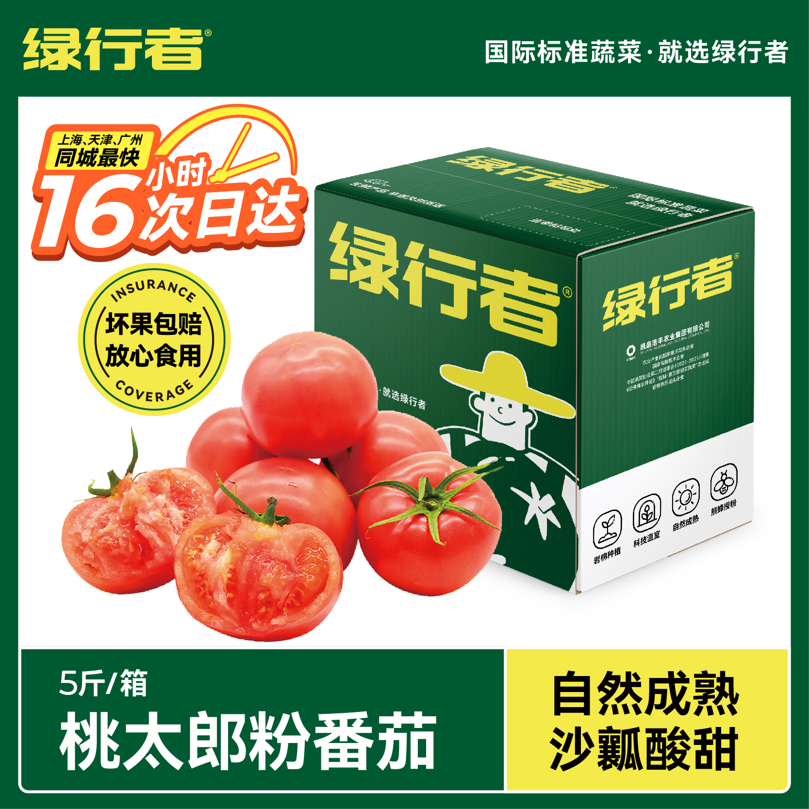 GREER 绿行者 青粉番茄生吃沙瓤西红柿 2.5kg