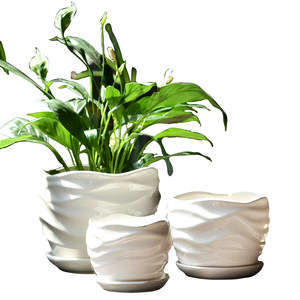 
Flower pot ceramic clearance special price household succulent flower pot large extra large pothos phalaenopsis loss with tray