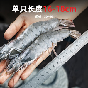 国联厄瓜多尔冷冻特大号白虾