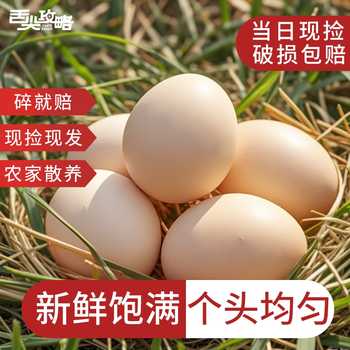 农家散养土鸡蛋现捡现发30枚单枚约40g营养早餐食材实付25.8元到手包邮