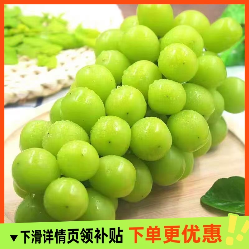 阳光玫瑰葡萄新鲜特大果晴王无籽香印青提当季水果 3斤装 福利礼金+券后23.51元顺丰包邮