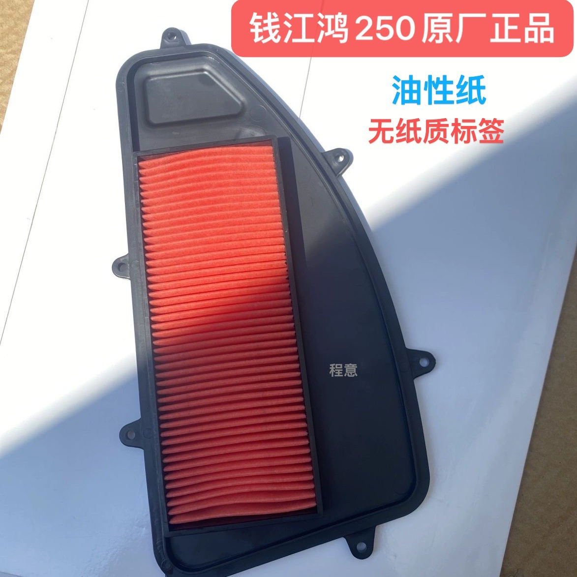 Qianjiang QJ250T-9/9A 250 - Filtro de Aire