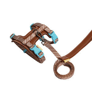 Yuanqi Meow丨zeze dog leash I-shaped anti-breaking dog leash adjustable small dog chest and back pet supplies
