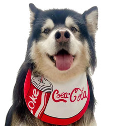 New summer big dog saliva towel practical bib